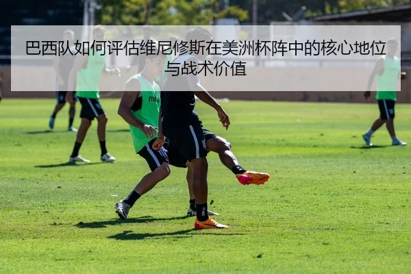巴西队如何评估维尼修斯在美洲杯阵中的核心地位与战术价值